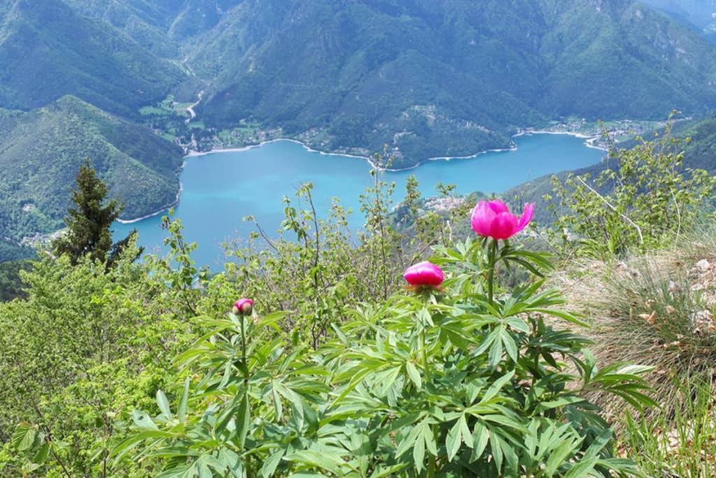 Appartamento La mansarda di Rossella Pieve Di Ledro Esterno foto
