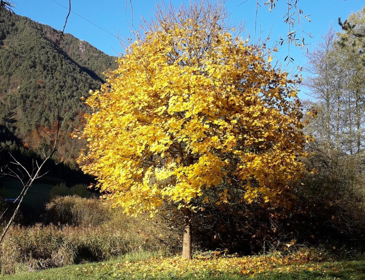 Appartamento La mansarda di Rossella Pieve Di Ledro Esterno foto